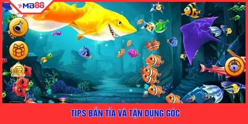 Tips bắn tỉa và tận dụng góc